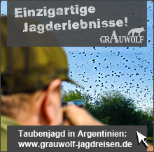 Taubenjagd in Argentinien - Grauwolf Jagdreisen