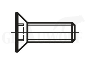 Recknagel (00000-580T) UNF 8-40 x 1/4“ Innenvielzahnschraube für Montageschienen 1 Stück