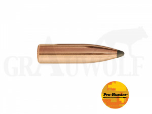 .243 / 6 mm 100 gr / 6,5 g Sierra Pro-Hunter Geschosse 100 Stück