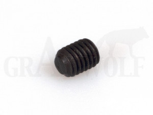 RCBS (09099) Innensechskantschraube 10/32x1/4 mit flacher Spitze 1 Stück
