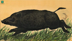 DJV-Scheibe Nr.6 Überläufer - 2-teilig DJV-Scheibe Nr.6 Überläufer - 2-teilig