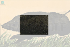 Spiegel für DJV-Scheibe Nr.6 Spiegel für DJV-Scheibe Nr.6