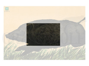 Spiegel für DJV-Scheibe Nr.6