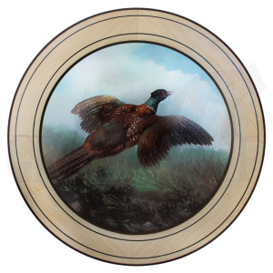 Ehrenscheibe Fasan im Wechselrahmen 50 cm Ehrenscheibe Fasan im Wechselrahmen 50 cm