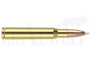 .30-06 Springfield 168 gr / 10,9 g Nosler Trophy Grade Accubond Patronen 20 Stück