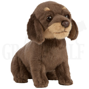 Plüschtier Rauhaardackel Welpe