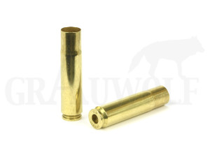 .45 Blaser GM Hülsen 50 Stück