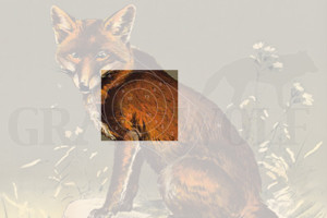 Spiegel für DJV-Scheibe Nr.3 Fuchs Spiegel für DJV-Scheibe Nr.3 Fuchs