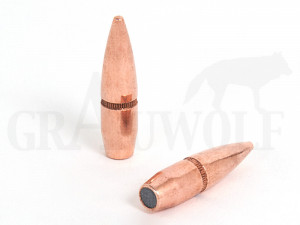 .310 / 7,79 mm (7.62x39) 123 gr / 8,0 g Hornady Vollmantel Spitz Geschosse 2800 Stück