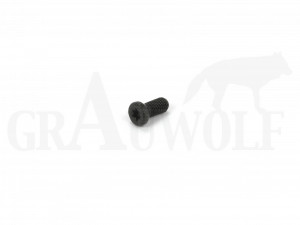 Recknagel 6-48 x1/4" (6,4 mm) Recknagel Innensechskant Schraube T 10