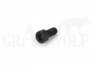 Ruger (MS06500) Schraube Gasblock Mini 14 1 Stück