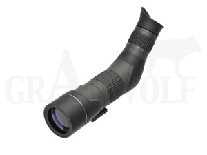 Leupold SX-2 Alpine HD 20-60 X 60 mm Gen 2 Spektiv 45° Einblick