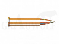 .22 WMR 30 gr / 1,9 g Hornady Varmint Express® Rimfire 50 Patronen