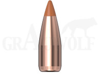 .204 / 5,2 mm 24 gr / 1,6 g Hornady NTX Geschosse 100 Stück