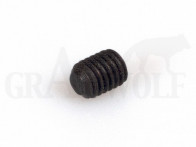 RCBS (09099) Innensechskantschraube 10/32x1/4 mit flacher Spitze 1 Stück