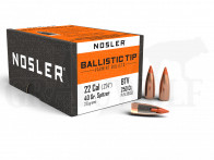 .224 / 5,6 mm 40 gr / 2,6 g Nosler Ballistic Tip Geschosse 250 Stück 