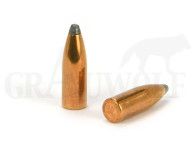 .224 / 5,6 mm 63 gr / 4,1 g RWS Teilmantel Geschosse 100 Stück