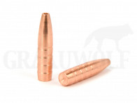 .243 / 6 mm 92 gr / 6,0 g CopperBear Kupferhohlspitz Geschosse 50 Stück