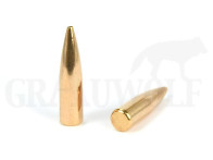 .243 / 6 mm 70 gr / 4,5 g Degol Starkmantel Verbundkern Hohlspitz Geschosse 50 Stück bleifrei