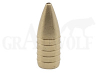 .222 / 5,6 mm 37 gr / 2,4 g Hornet GM Splinter Messingjagdgeschosse 100 Stück