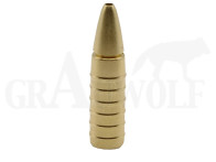 .264 / 6,5 mm 91 gr / 5,9 g GM Splinter Messingjagdgeschosse 100 Stück