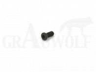 Recknagel 6-48 x1/4" (6,4 mm) Recknagel Senkkopfschraube Torx T 10