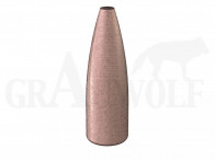 .224 / 5,6 mm 55 gr / 5,6 g Speer TMJ Geschosse 100 Stück